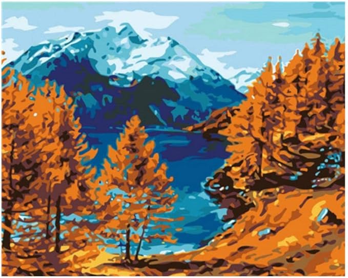 XXSCZ DIY Malen nach Zahlen Kit Landschaftslandschaft8