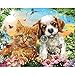 Bits and Pieces – Large 100 Piece Jigsaw Puzzle for Adults – Kitten & Puppy - Cute Baby Animals Dog Cat Jigsaw Puzzle by Adrian Chesterman, Completed Puzzle Size: 15