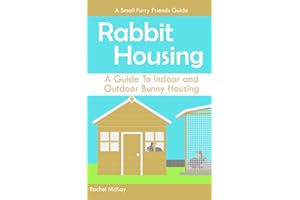 Rabbit Housing: A Guide To Indoor and Outdoor Bunny Housing