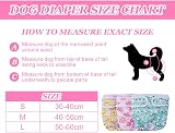 Aomig Reusable Dog Nappies 3 Pcs Absorbent Washable Female Pet Diapers L view 3
