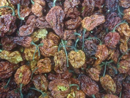 1 Lb. Whole Dried Trinidad Moruga Scorpion Pepper Pods