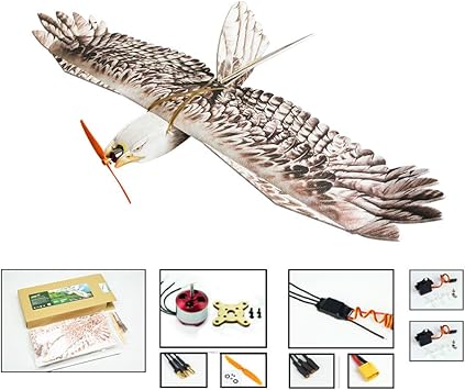 eagle rc plane