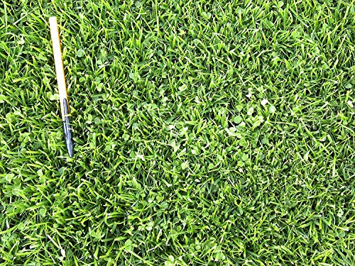 X-Seed 440AS0135UCT-5 MicroLawn Grass & Micro-Clover Mixture, 5, White (Тwо Расk)