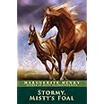 Stormy, Misty's Foal