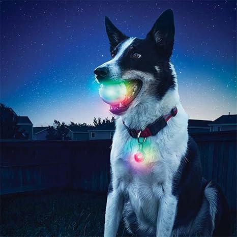 SwiduuUK - Pelota fluorescente para mascotas, juguete interactivo ...