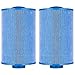 Clear Choice Pool Spa Filter 6.00 Dia x 9.25 in Cartridge Replacement for Master Spa Twilight Other PMA40L-F2M, [2-Pack]