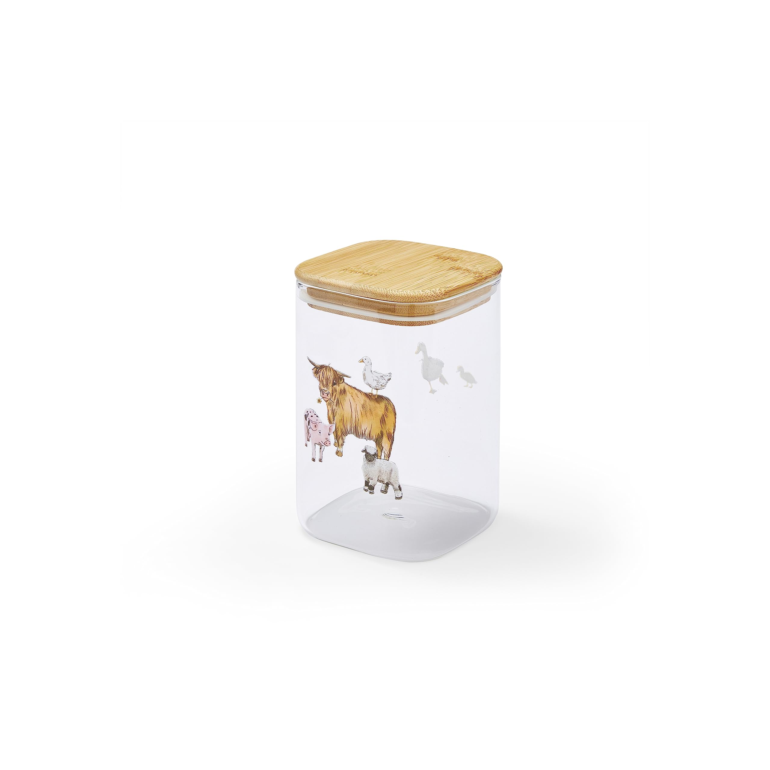 Cooksmart British Designed Medium Glass Storage Jars | Glass Storage Jars For Kitchen With Modern Designs | Spaghetti Storage Jar or Pasta Containers - Buttercup Farm