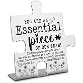 Thank you Appreciation gifts for Team Teamwork Employee Boss, Inspirational Team Gift for Coworker Colleagues Leader Case Manager, Teamwork Recognition gift Decorative Signs & Plaques-DX428