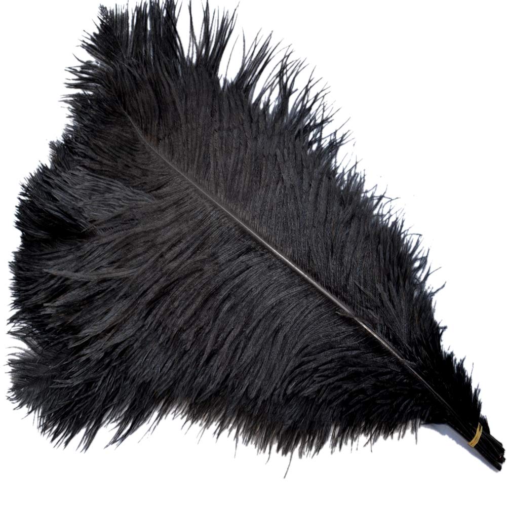 Sowder 5pcs Ostrich Feathers 16-18inch(40-45cm) for Home Wedding Decoration(black)