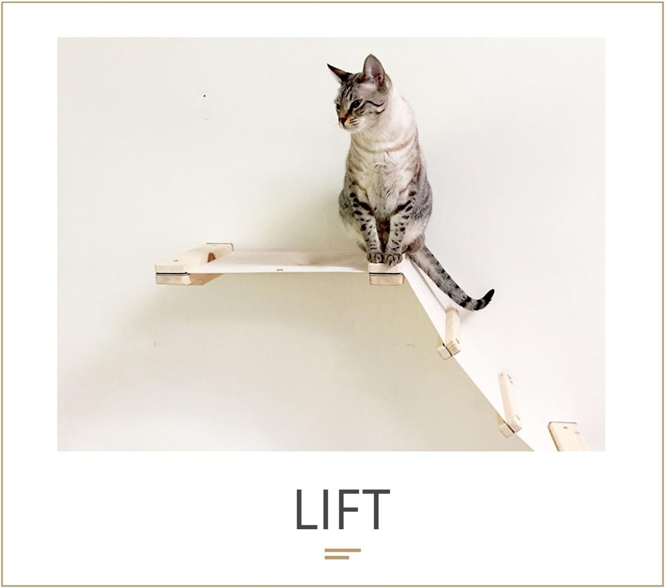 Best catastrophicreations the cat mod lounge hammock