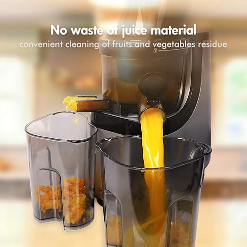Slow Juicer Masticating Juice Extractor Professional Machine with