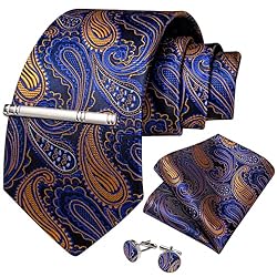 DiBanGu Silk Paisley Ties for Men Woven Necktie and