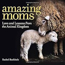 Amazing Moms: Love and Lessons From the Animal Kingdom