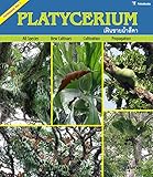 Image de Platycerium (Fernmania Book 1)