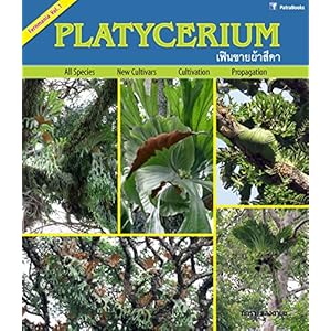 Platycerium (Fernmania Book 1)
