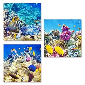 Canvas Wall Art Tropical Theme Sunshine...