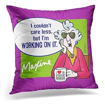 Amazon Com Throw Pillow Cover Hallmark I Couldn Care Less Shoebox
