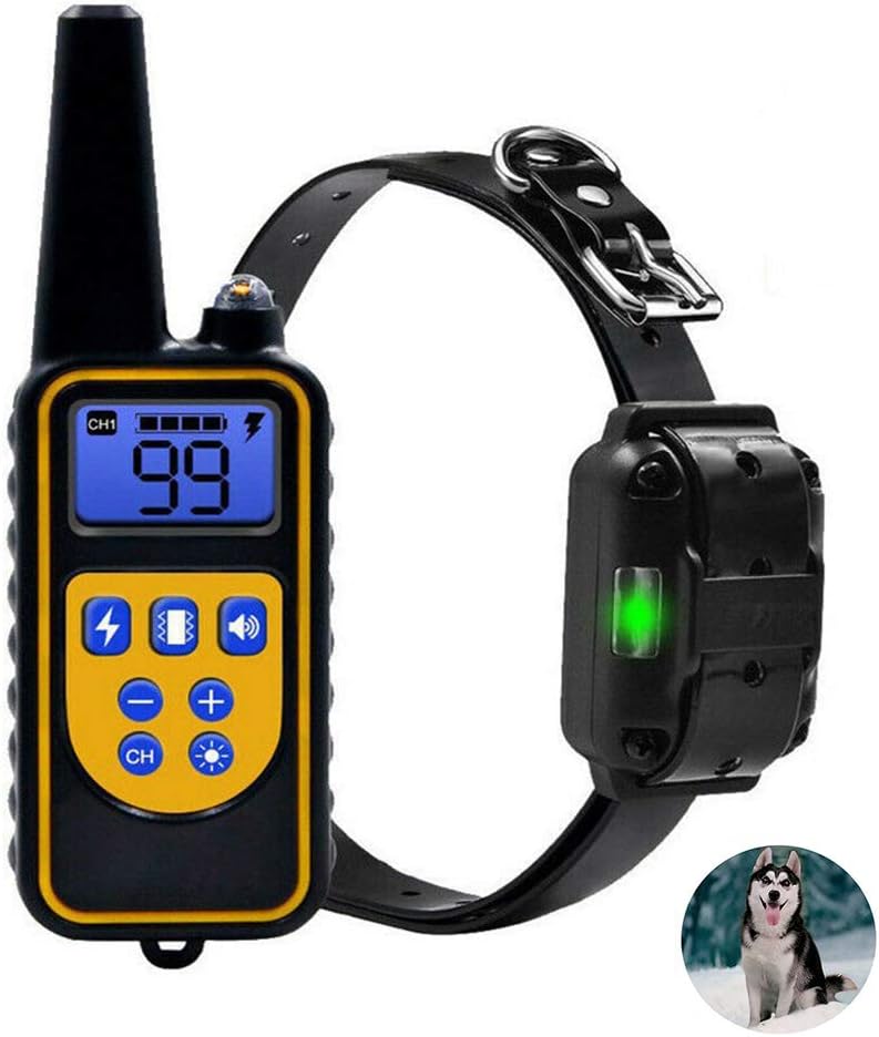 dog puppies for adoption near me