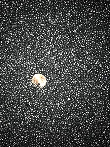 catgenie maintenance cartridge