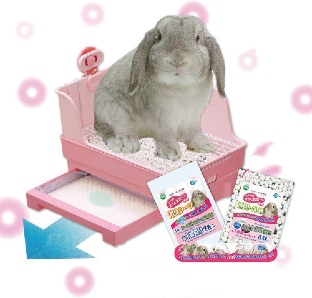 DoubleLayer Square Maca Rabbit Toilet, Super Pet Toilet, Set of Boxed Gifts
