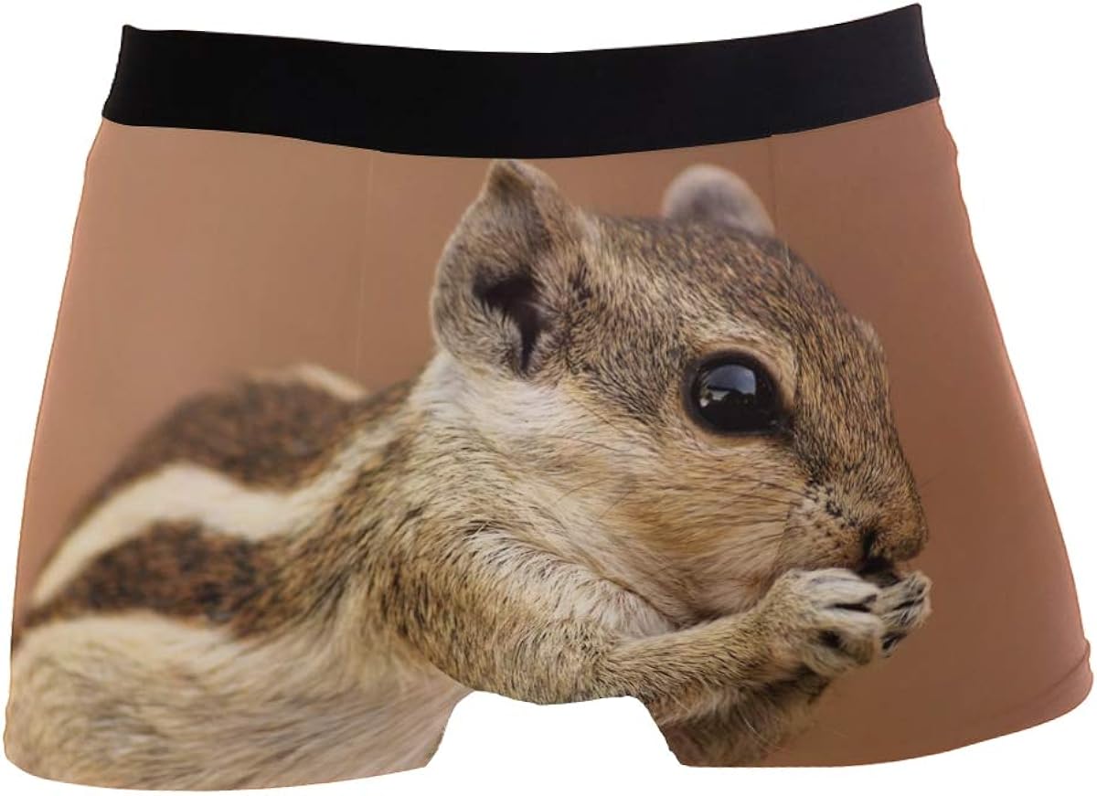 Wildlife Adorable Animal Mens Boxer Briefs for Boy Youth Men Underwear