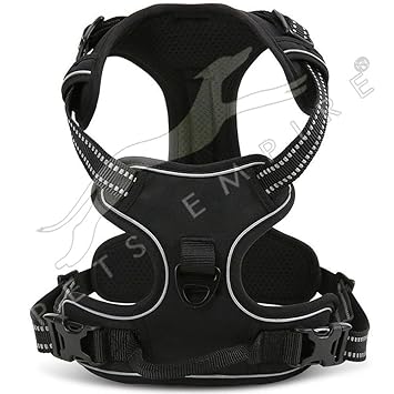 Pets Empire Padded Easy Fit Dog Chest Harness Car with Front Clip Adjustable Soft Mesh Handle for Large Dogs, Small (Colour May Vary) - 1 Piece