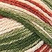 RED HEART Soft Yarn, Garden