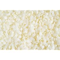 Non-GMO Emulsifying Wax Pastilles NF - 16 OZ - Cosmetics - Homemade Soap -by Natural Farms