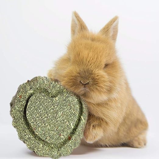 juguetes para conejos amazon