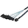 CableCreation SFF-8643 to SFF-8482 Cord, Internal Mini SAS SFF-8643 to 4 X 29 Pin SFF-8482 Adapter with SAS 15 Pin Power Port