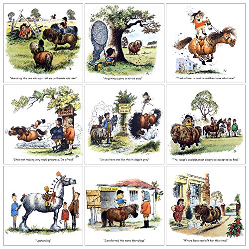 Thelwell Pony Greeting Card assorted pack of 9 fun horse cartoons