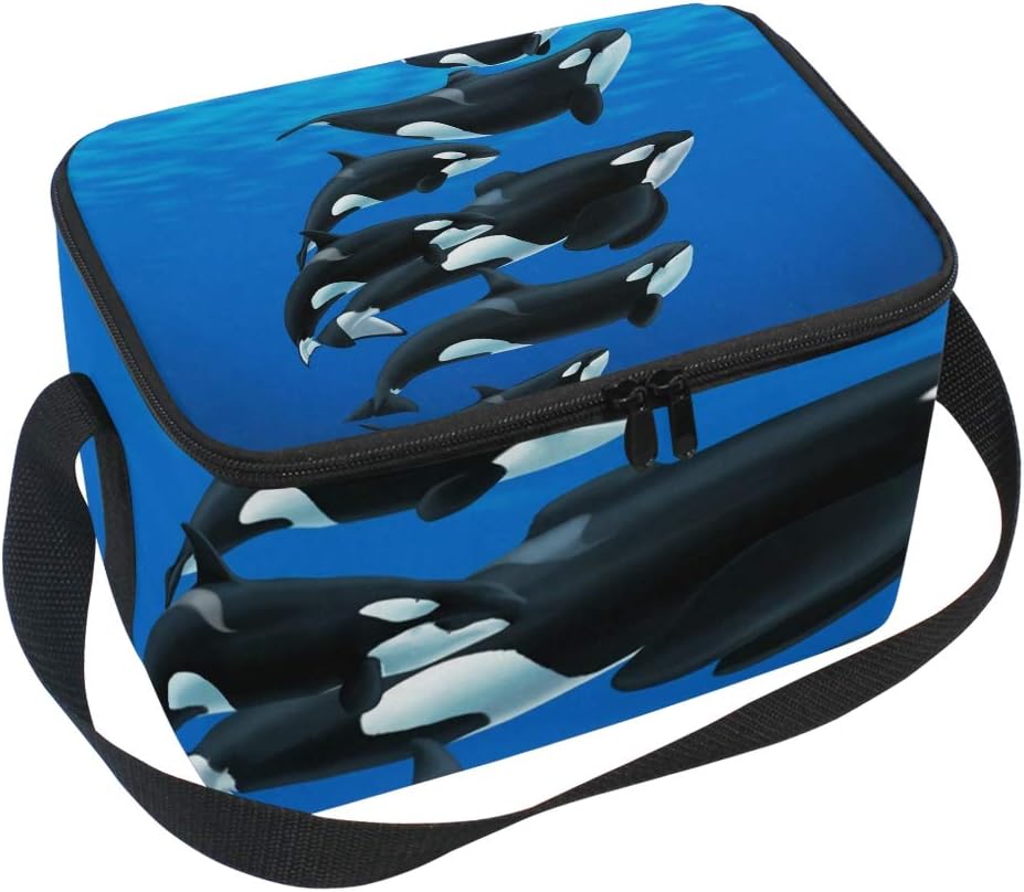 orca bag cooler