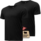 Heat equation Merino Wool Shirt for Men Bamboo Viscose Moisture Wicking Undershirt Lightweight Crewneck Soft T-Shirt 2P