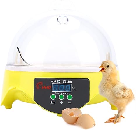 Zerone Incubateur Oeuf Mini Incubateur D œuf Automatique Numerique 7 Capacites Couveuse Avec Controle Automatique De La Temperature Pour Poule Canard Oiseaux Oeufd Modele 1 Amazon Fr Animalerie