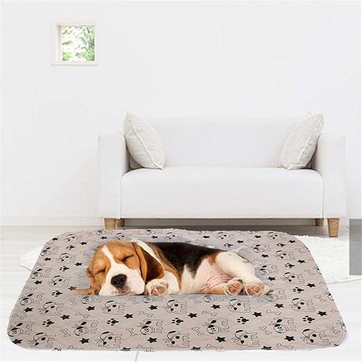 Amazon Com Dsfsfff Pet Dog Pee Pad Three Layer Waterproof Pvc
