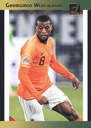 wijnaldum netherlands jersey