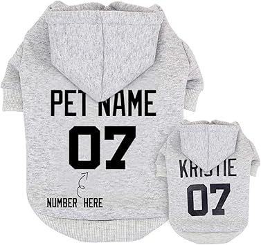 under armour funnel neck hoodie women's