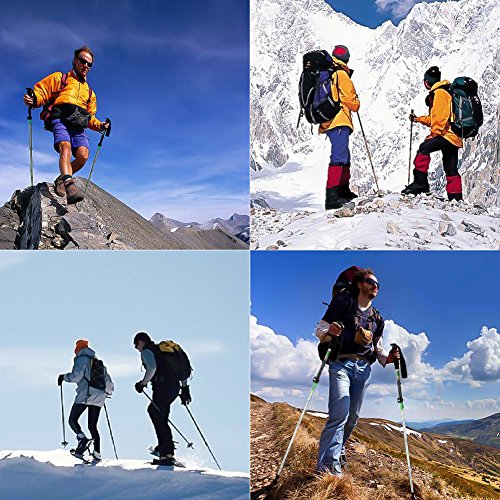 LoveisCool 2 Pack Trekking Poles - Folding, Collapsible, Adjustable,and Ultralight - Perfect for Hiking, Walking, Backpacking and Snowshoeing (green)
