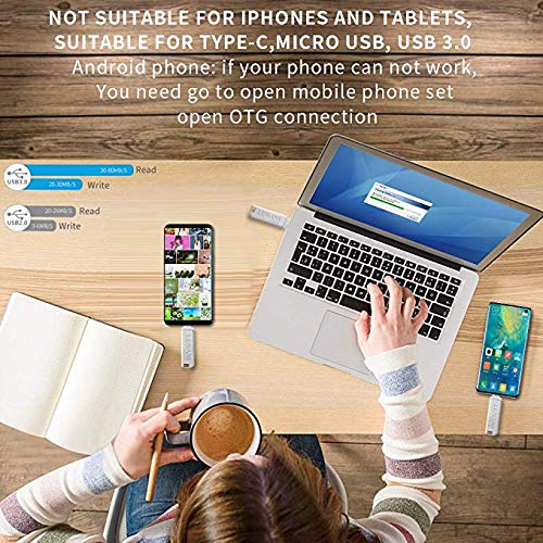 Flash Drive for TypeC_ Type C Flash Drive 256GB Flash Drive Type C USB 3.0 Flash Drive Type C High Speed OTG ffor Android,PC Drive USB Type-C（Silver）