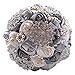 Jackcsale Romantic Wedding Bride Holding Bouquet Roses with Diamond Pearl Ribbon Valentine's Day Bouquet Confession (Gray)