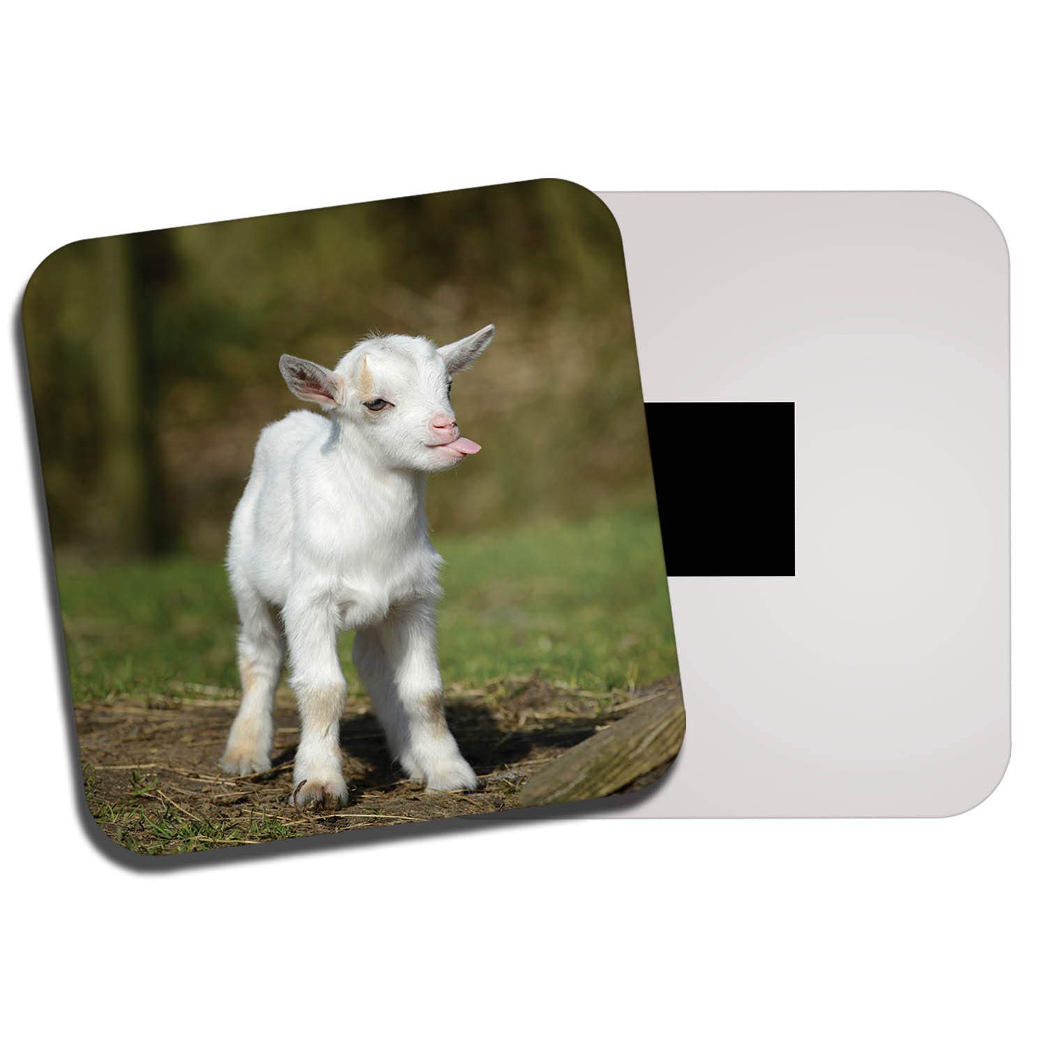 The 10 Best Goat Refrigerator Magnets