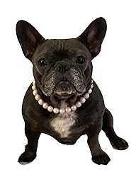 Dog Necklace (Large (19-21"), Solid, Pink
