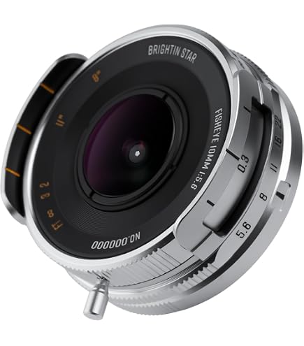 Amazon.com : Raynox MX-3000PRO 0.3x Semi-Fisheye Ultra-Wide-angle