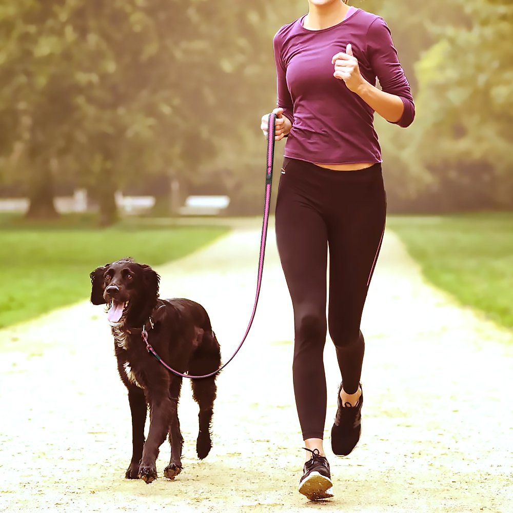 Reflective Dog Leash, Strong & Heavy Duty Pet Leash, Lightweight & Washable Soft Mesh, Handle Lead for Greater Control Safety Training, Walking, Running- Suitable For Small/Medium/Large Dogs