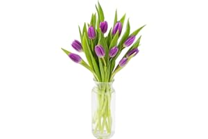KaBloom PRIME NEXT DAY DELIVERY - Fall Collection - Bouquet of 10 Purple Tulips with Vase|Gift for Birthday, Anniversary, Get Well, Thank You, Valentine, Mother’s Day Fresh Flowers