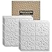 Genesis - Antique White 2x2 Ceiling Tiles 3 mm Thick (Carton of 12) - These 2'x2' Drop Ceiling Tiles are Water Proof and Won't Break - Fast and Easy Installation (2' x 2' Tile)