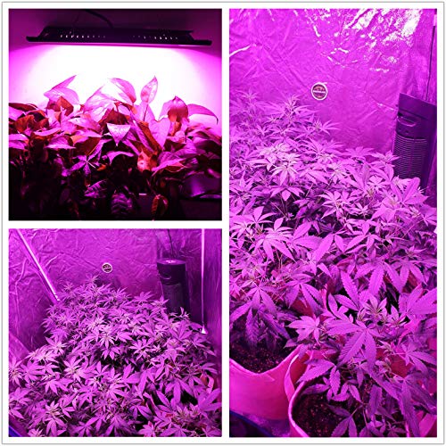 450W LED Grow Light Full Spectrum, Relassy Waterproof COB LED Grow Light with Natural Heat Dissipation and Without Noise Perfect for Outdoor/Indoor Plants All Growing