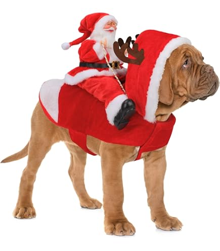 Disfraz De Navidad Para Perros Y Gatos: Traje Rojo Con Gorro (Tallas S A XL), Fácil De Poner Con Botones, Ideal Para Fotos Festivas