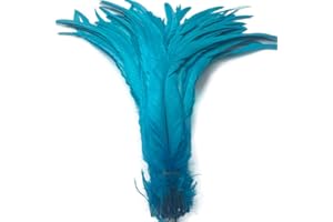 Shekyeon 16-18inch 40-45cm Rooster Coque Tail Feather for Costume Decoration Pack of 20 (Turquoise)
