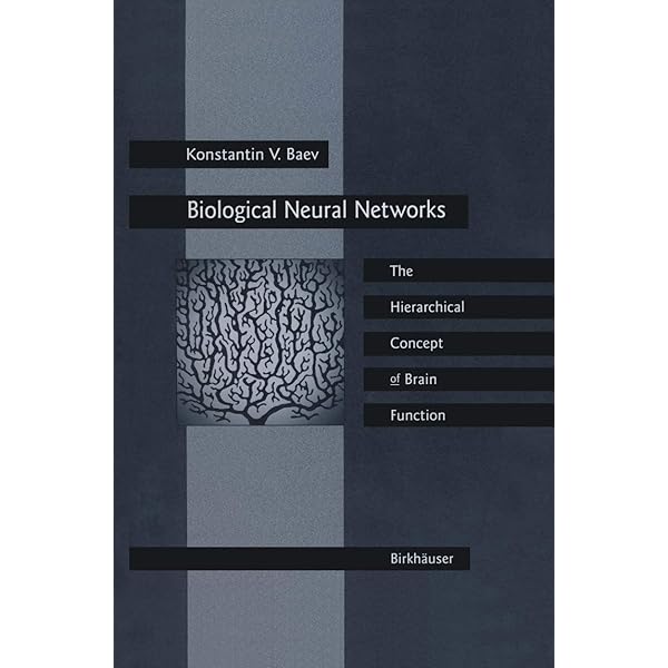 Bayesian Brain: Probabilistic Aproaches to Neural Coding